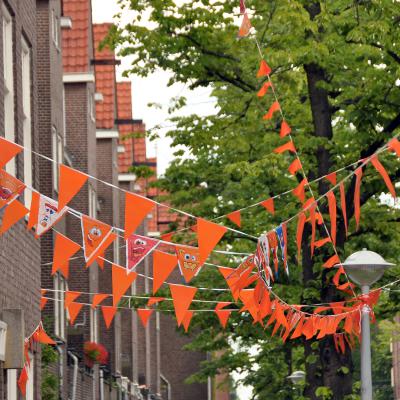 Oranje: De Nationale Kleur van Nederland